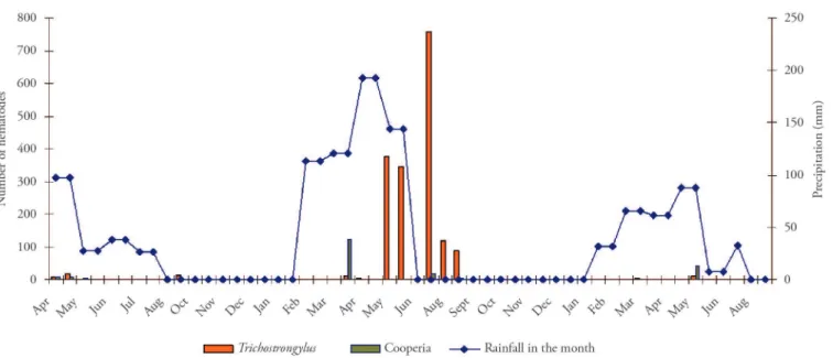 Figure 5. Temporal distribution of Trichostrongylus sp. and Cooperia sp. recovered from autopsied tracer lambs, in relation to the rainfall  during that month; samples were collected between April 2005 and August 2007 in the municipality of Lajes, Rio Gran
