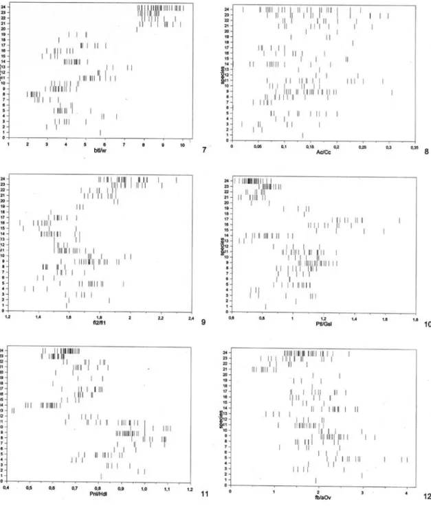 FIGURE S 7-12.  Values of  morphometric ratios for all examined specimens of  all species