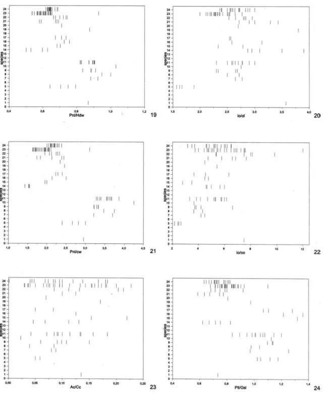 FIGURE S 19-24.  Values of  morphometric ratios for all examined specimens of  all species