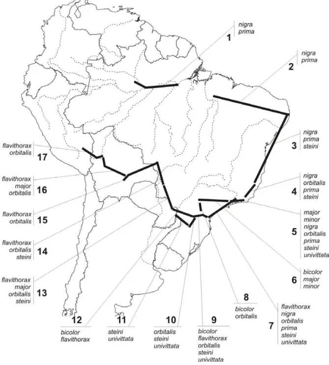FIGURE 4. Generalised tracks obtained for Polietina, each one numbered and indicated its composing species.