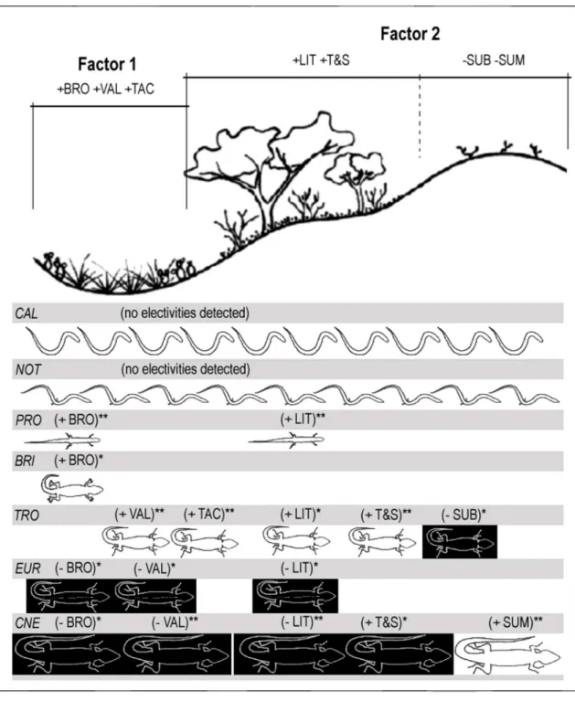 FIGURE 9. Synthesis of  the ordination analysis of  microhabitat variables and microhabitat electivity among the seven most abundant lizard species endemic to the Ibiraba dunes, State of  Bahia, Brazil