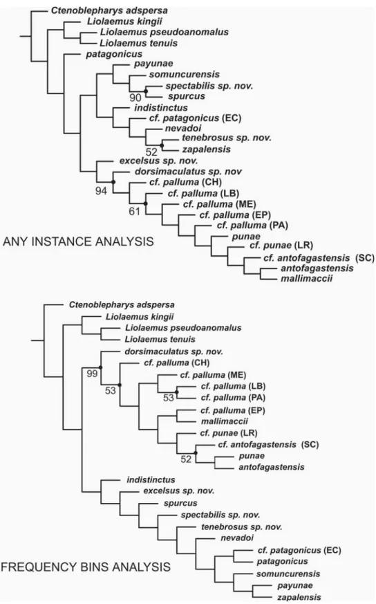 FIGURE 6. Two hypotheses of  phylogenetic relationships among species of  Phymaturus using two different methods for coding binary polymorphisms (any-instance and frequency-bins analysis)