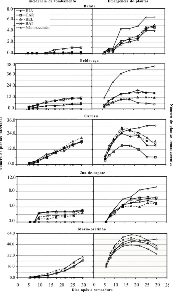 Figura  4.  Incidência  de  cancro  em  haste  de  batata  ou  tombamento  em  beldroega,  caruru  e  juá-de-capote,  brotação  de  tubérculos  de  batata  e  emergência  de plantas    em  solo  esterilizado  infestado  ou  não  com  isolados  de  Rhizocto