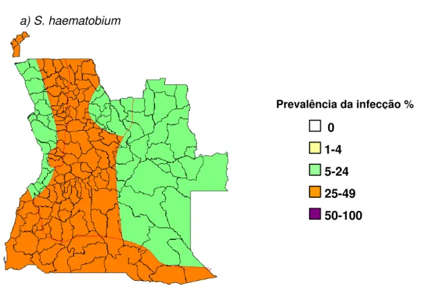 Figura 3- Distribuição e prevalência da schistosomose urinária em Angola.  Adaptado de MINSA (2005)