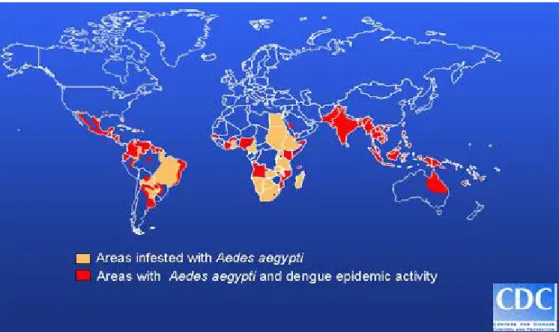 Figura 6 - Distribuição mundial do vírus da dengue e do seu mosquito vector, Ae. 