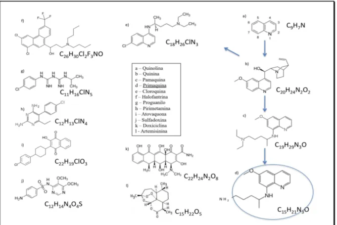 Figura 5 – Fórmulas moleculares e químicas de alguns antimaláricos. 