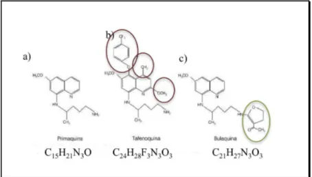 Figura 6 – Estrutura molecular e fórmula química da tafenoquina e da bulaquina. 