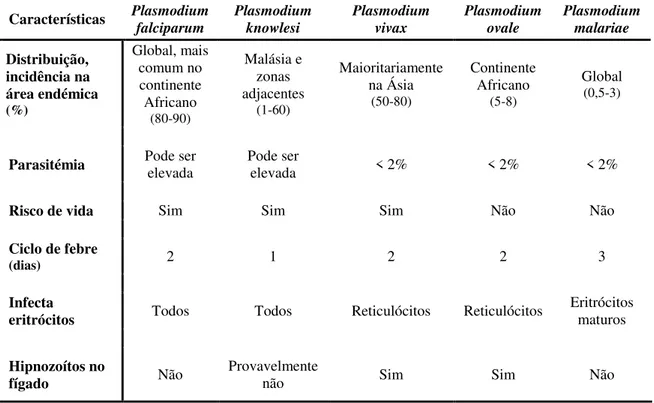 Tabela  I.1:  Características  das  espécies  de  Plasmodium  sp.  causadoras  de  malária  em  humanos (adaptado de Kantele, et al., 2011)