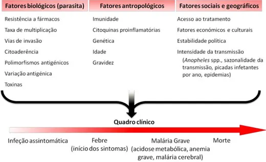 Tabela  I.2:  Fatores  que  influenciam  o  quadro  clínico  observado  na  infeção  malárica  (adaptado de Miller, et al., 2002)