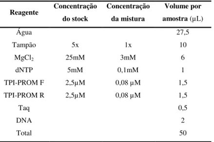 Tabela II.1: Mistura de reação para amplificação da região promotora do gene TPI. 