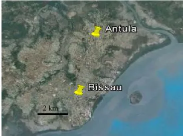 Figura 2.2 – Localização geográfica de Antula, local de captura dos culicídeos utilizados neste estudo, e  do centro da cidade de Bissau (adaptado de Google TM  Earth)