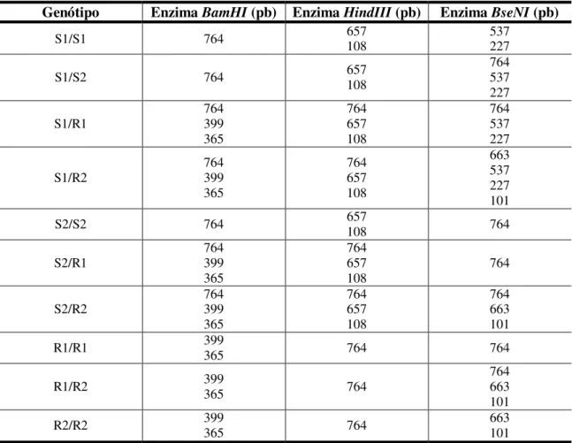 Tabela  2.1  –  Tamanho  dos  fragmentos  de  restrição  do  gene  TEP1  para  cada  enzima  e  genótipo  correspondente