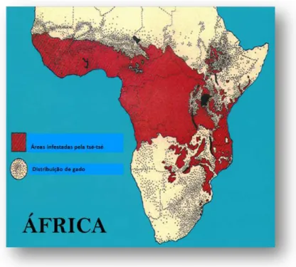 Figura  1.9.  Mapa  das  áreas  infestadas  pela  mosca  tsé-tsé  e  da  distribuição  de  gado  em  África