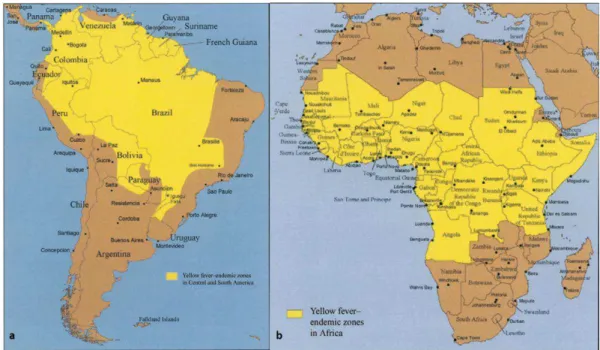 Figura  8:  Endemicidade  da  Febre-amarela  na  América  Latina  (a)  e  África  (b)  (Adaptado  de  Barnett  2007).