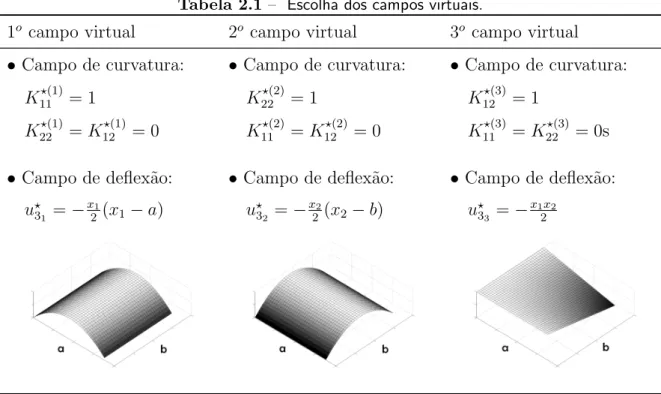 Tabela 2.1 – Escolha dos campos virtuais.