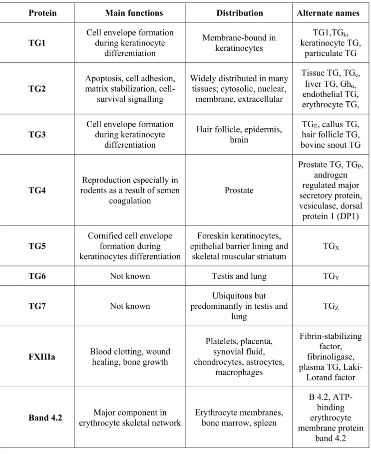 Table 2: Main characteristics of the nine human TG (Adapted from Metha,  2005). 