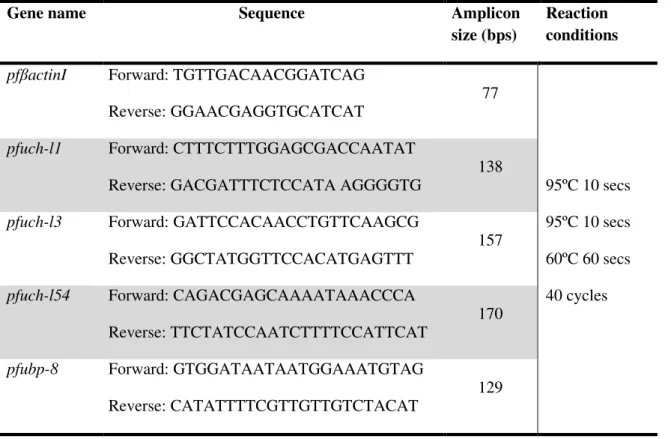 Table 5. Plasmodium falciparum RT-PCR primers designed from mRNA sequence. 