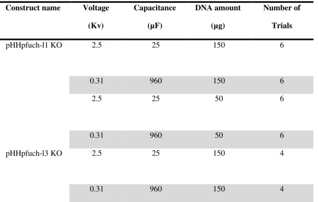 Table 7. Electroporation settings for transfection of P. falciparum parasites  Construct name  Voltage 