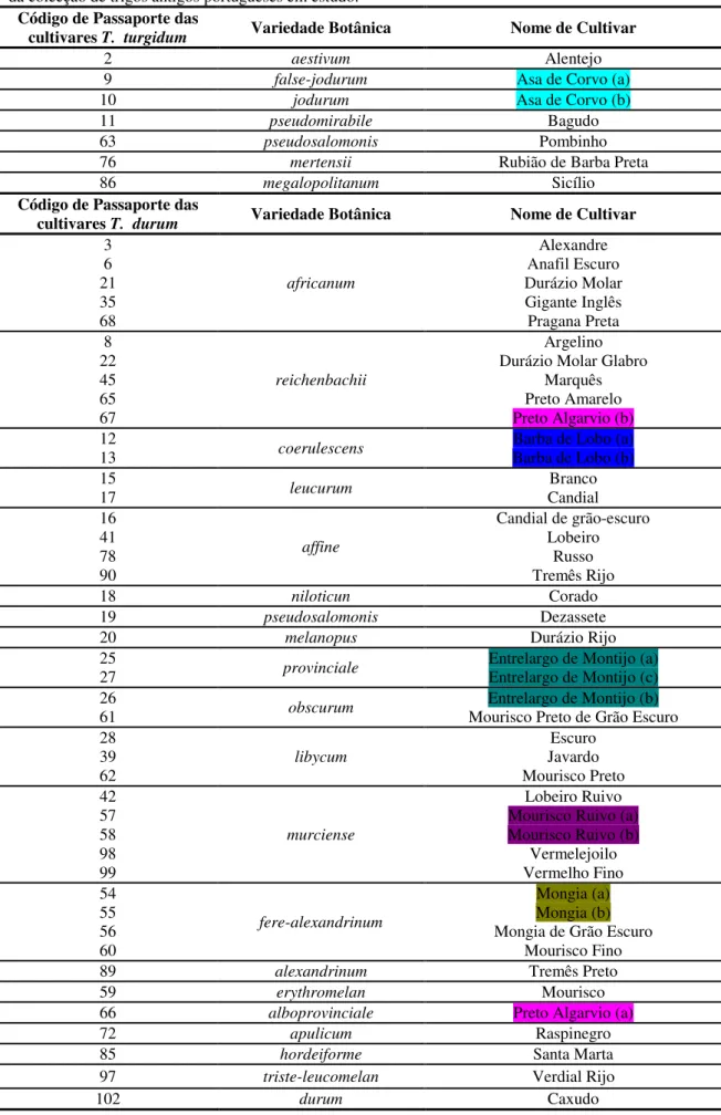 Tabela 3. 2 - Código de passaporte, variedade botânica e nome de cultivar das 51 cultivares de trigo rijo  da colecção de trigos antigos portugueses em estudo