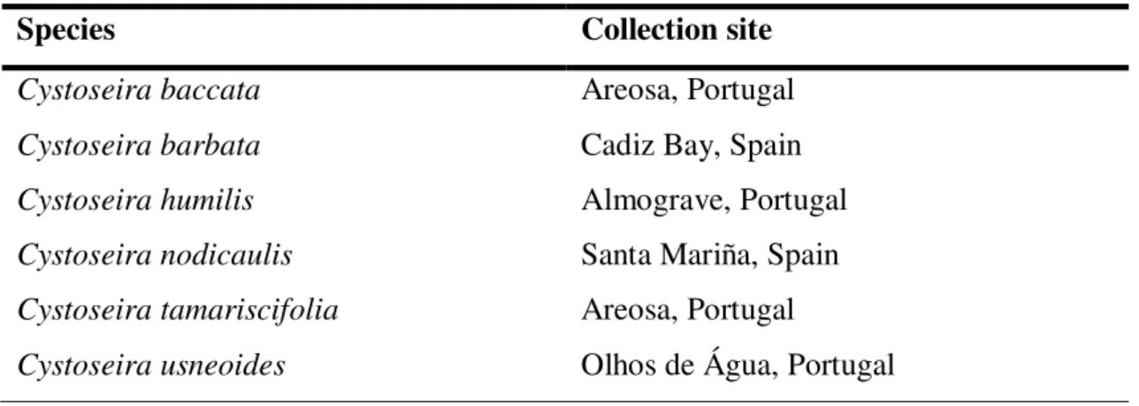 Table 4 Collection sites of the Cystoseira species used in this study 