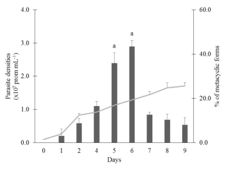 Figure 7 Predominant morphology of L. infantum axenic promastigotes cultured in RPMI  medium