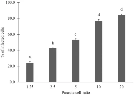 Figure  8  Percentage  of  infected  cells  obtained  for  different  parasite:cell  ratios