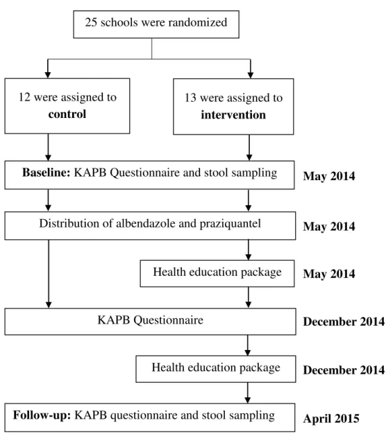 Figure  10. Study design: 25 schools in the four study regions were randomly assigned to control or intervention group