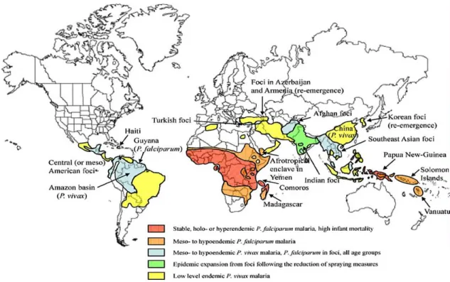 Figure  1.  World  distribution  of  Plasmodium  falciparum  and  P.  vivax  malaria  endemicity