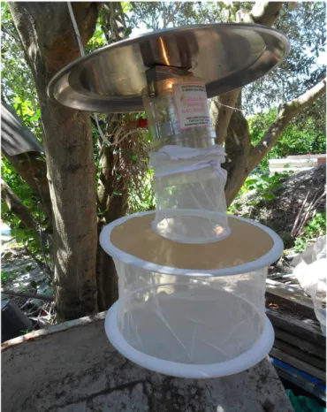 Figure 7. Details of a standard CDC Light trap hung outdoor. Source: Author´s photo. 