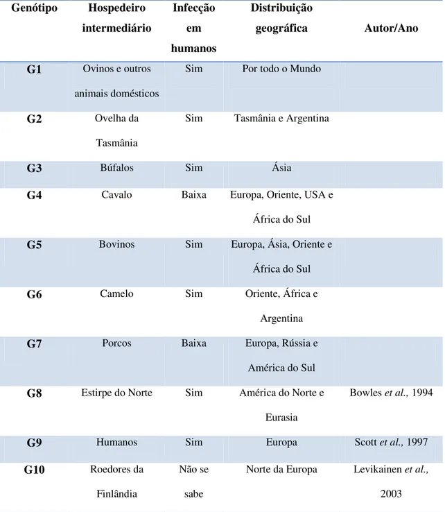 Tabela 1 – Identificação das diversas estirpes de E.granulosus descritas no Mundo 