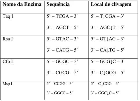 Tabela 3 – Enzimas de restrição utilizadas para estudo da região ITS-1 