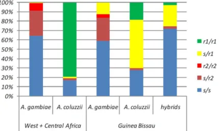 Fig 3. Comparison of TEP1 genotype distribution in West/Central Africa and Guinea Bissau