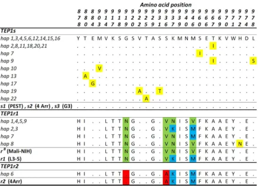 Fig 4. Amino acid variability in TEP1-TED region in Guinea Bissau. Protein alignment showing variable positions in the 387 bp of TED region of TEP1 analyzed is shown