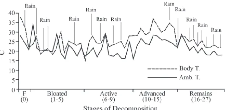 Fig. 1. Daily temperature variations related with stage of decomposition and  rainy days.