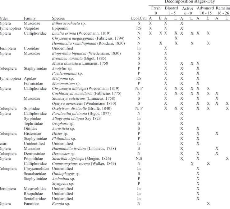 Table I. Succession of insects associated with exposed carcasses in Colombia’s Andean Coffee Region.