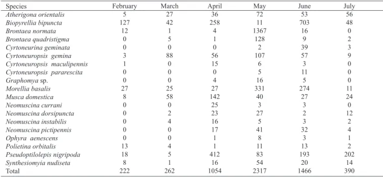 Table III.  Monthly distribution of the species of Muscidae (10≥) in La Pintada, Colombia from February to July 2007.