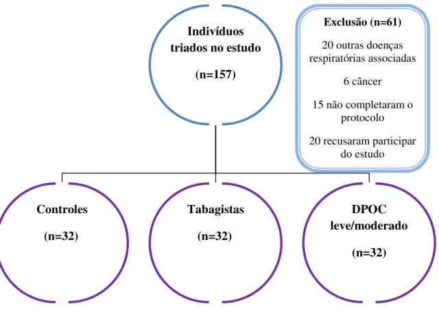 Figura 1.  Diagrama de inclusão dos indivíduos no protocolo Indivíduos triados no estudo (n=157) Controles (n=32)  Tabagistas (n=32)  DPOC  leve/moderado (n=32) Exclusão (n=61) 20 outras doenças  respiratórias associadas 6 câncer 15 não completaram o proto