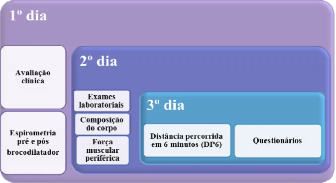 Figura 2.  Delineamento das avaliações dos indivíduos incluídos no estudo. 