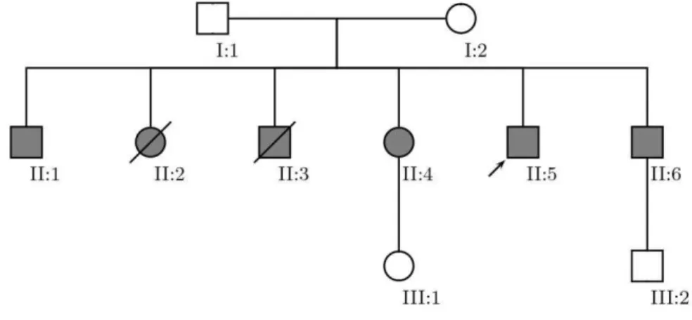 Figura  8.   Heredograma  Fenotípico.  Os  fenótipos  dos  pacientes  membros  da  família  foram  caracterizados apenas através de história clínica e exame físico