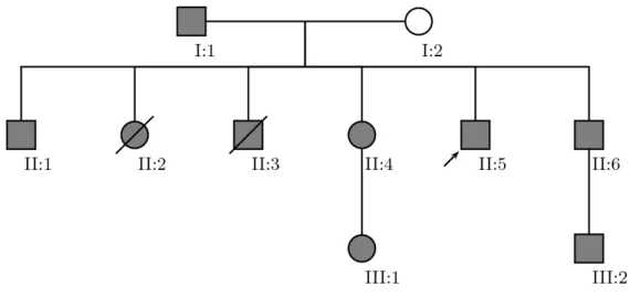 Figura 14. Eletroferogramas representativos do indivíduo I.2, wild-type para as mutações  Trp5X (a) e Pro53Leu (b).