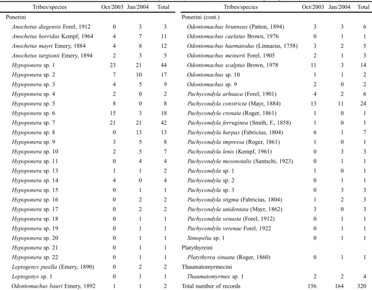 Table I. Composition and abundance (number of records) of the ponerine ant species collected in 48 leaf-litter samples from primary rainforest sites in ECFPn, Caxiuanã National Forest, Pará State, Brazil, during the peak of dry season (October, 2003) and b