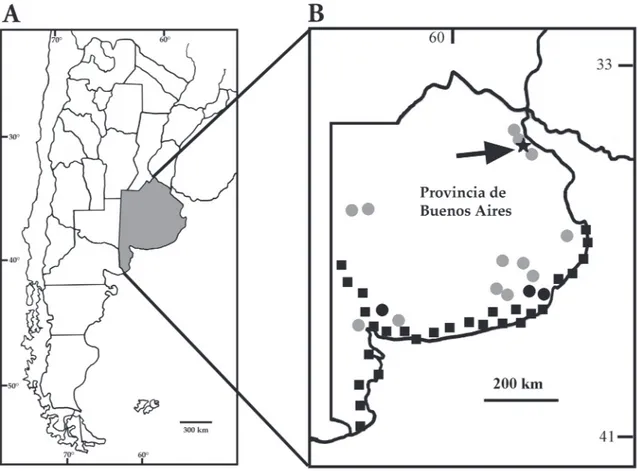 FIGURA 1: A, Mapa de la República Argentina, el sombreado indica la provincia de Buenos Aires; B, Mapa de la provincia de Buenos  Aires, con la localidad fosilífera de Merlo indicada mediante una flecha