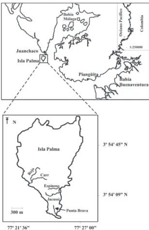 FIgurA 1: Mapa de Isla Palma (Cortesia Giraldo et. al.).