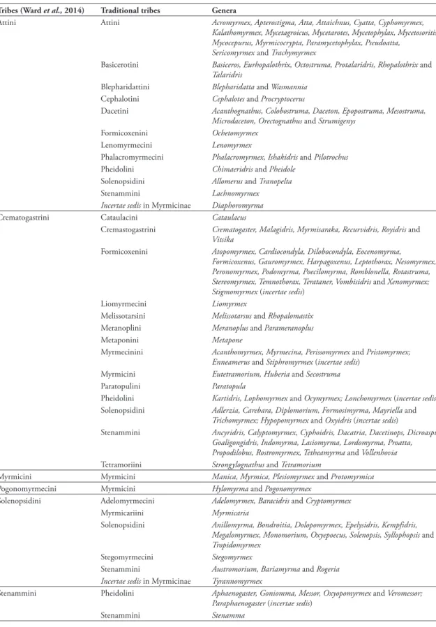 TABLE 1: Myrmicinae tribes’ classification following Ward et al. (2014), the traditional tribes and the included genera.