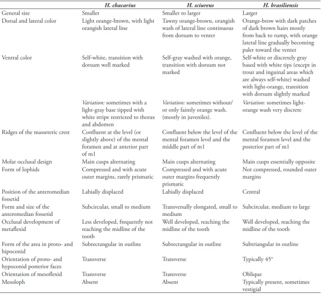 TABLE 6: Diagnostic traits of three Brazilian Holochilus species showing qualitative variation among the external and cranial characteristics  analyzed*.