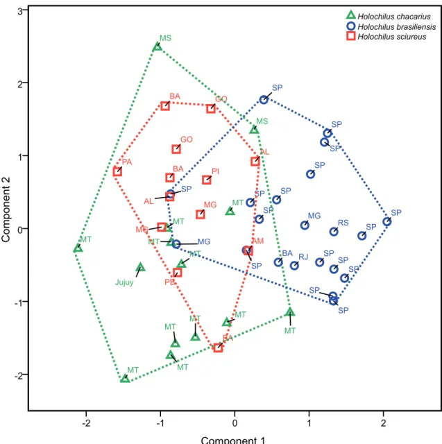 FIGURE 2: Distribution of the factorial scores in the first and second principal components of the craniometrical variables (in decimal  logarithm) of Holochilus specimens.