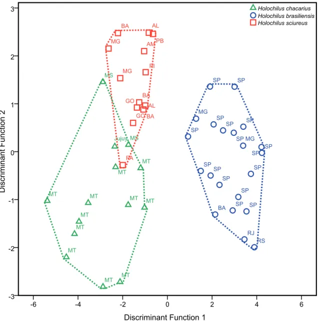FIGURE 3: Distribution of the factorial scores in the first and second discriminant functions of the craniometrical variables (in decimal  logarithm) of Holochilus males specimens.