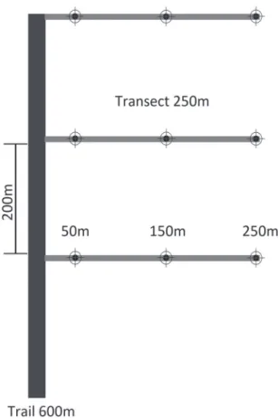 FIGURE  2: Each sampling site was composed of one trail and  three transects to the interior of the forest
