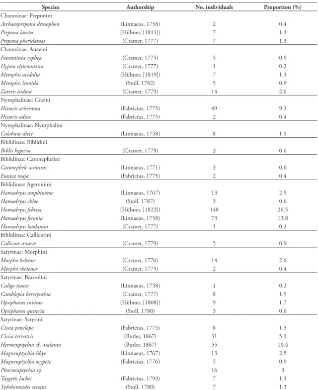 TABLE 1: Fruit-feeding butterflies collected at Sítio Aguahy, separated by subfamily and tribe, with number of individuals (abundance)  and the proportion of each species.