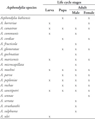 TABLE 5: Brazilian species of Asphondylia (Diptera, Cecidomyiidae)  and described life cycle phases